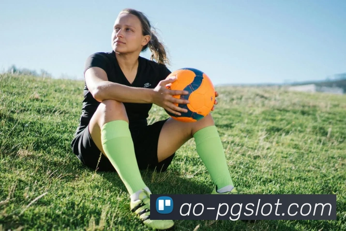 PG麻将胡了官网平台生态图