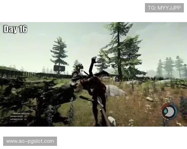 《铁皮林瞭望塔风格的策略冒险游戏，挑战极限生存与智慧对决》